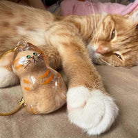 Cat Hair Storage Key Chain