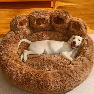 Cozy Paw Pet Sofa Bed